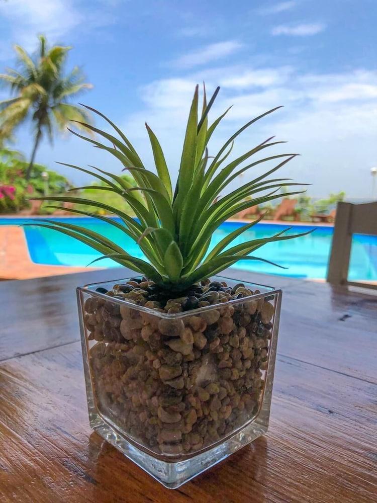 Hotel Mont Joli Cap-Haïtien Kültér fotó