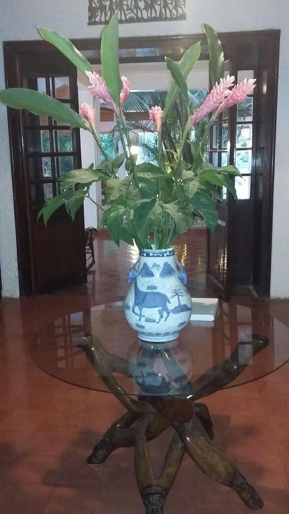 Hotel Mont Joli Cap-Haïtien Kültér fotó